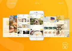 威海社交app解决方案