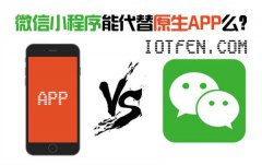 威海小程序与app开发的竞争关系分析