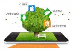 威海APP开发公司哪家好【新睿网络】？